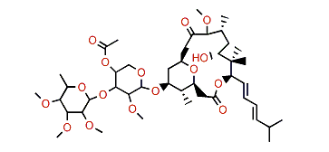 Polycavernoside C